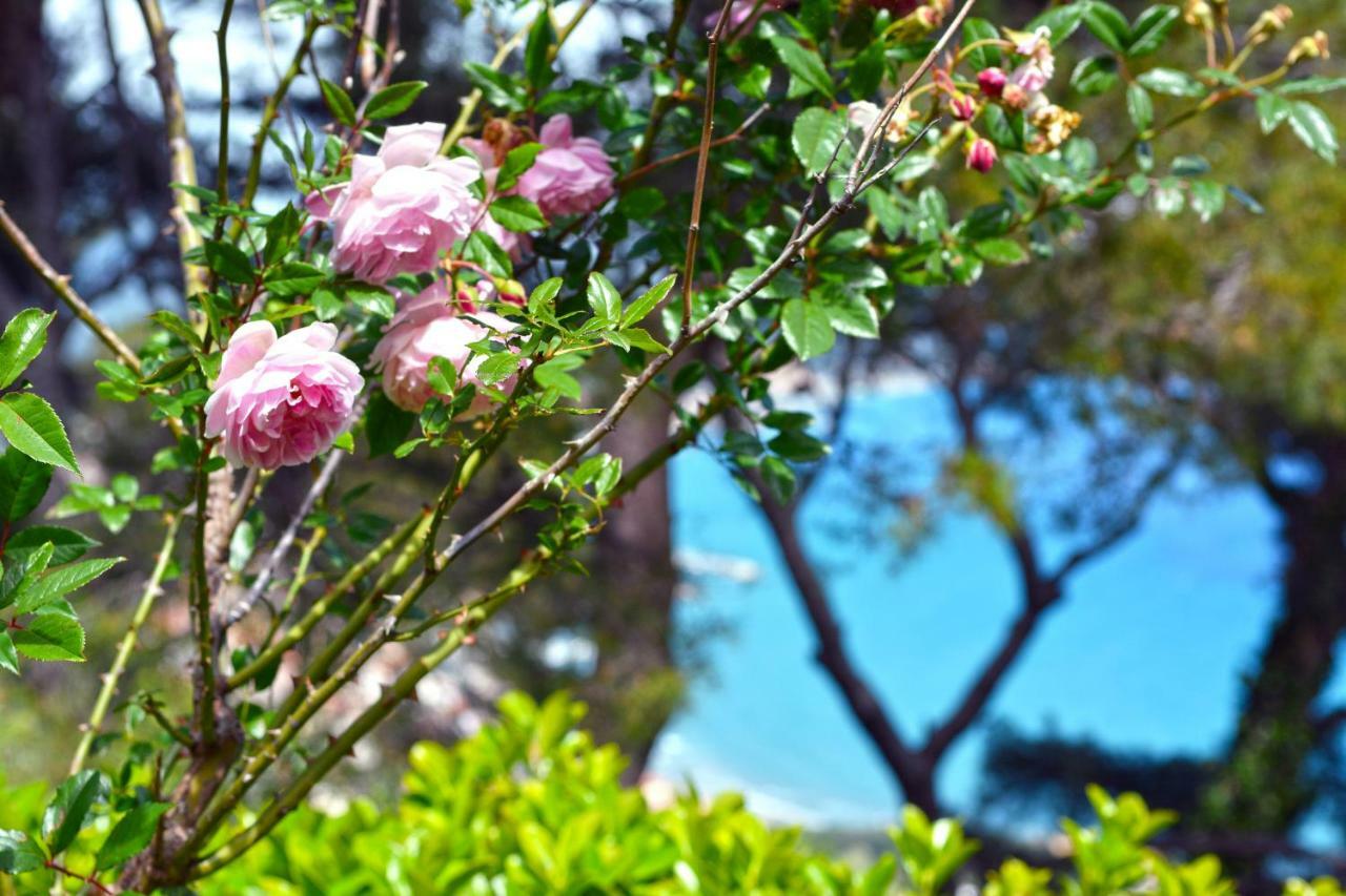 Torre Alpicella Holiday Home, A Scenic Escape Into Nature And Relaxation Ντιάνο Μαρίνα Εξωτερικό φωτογραφία